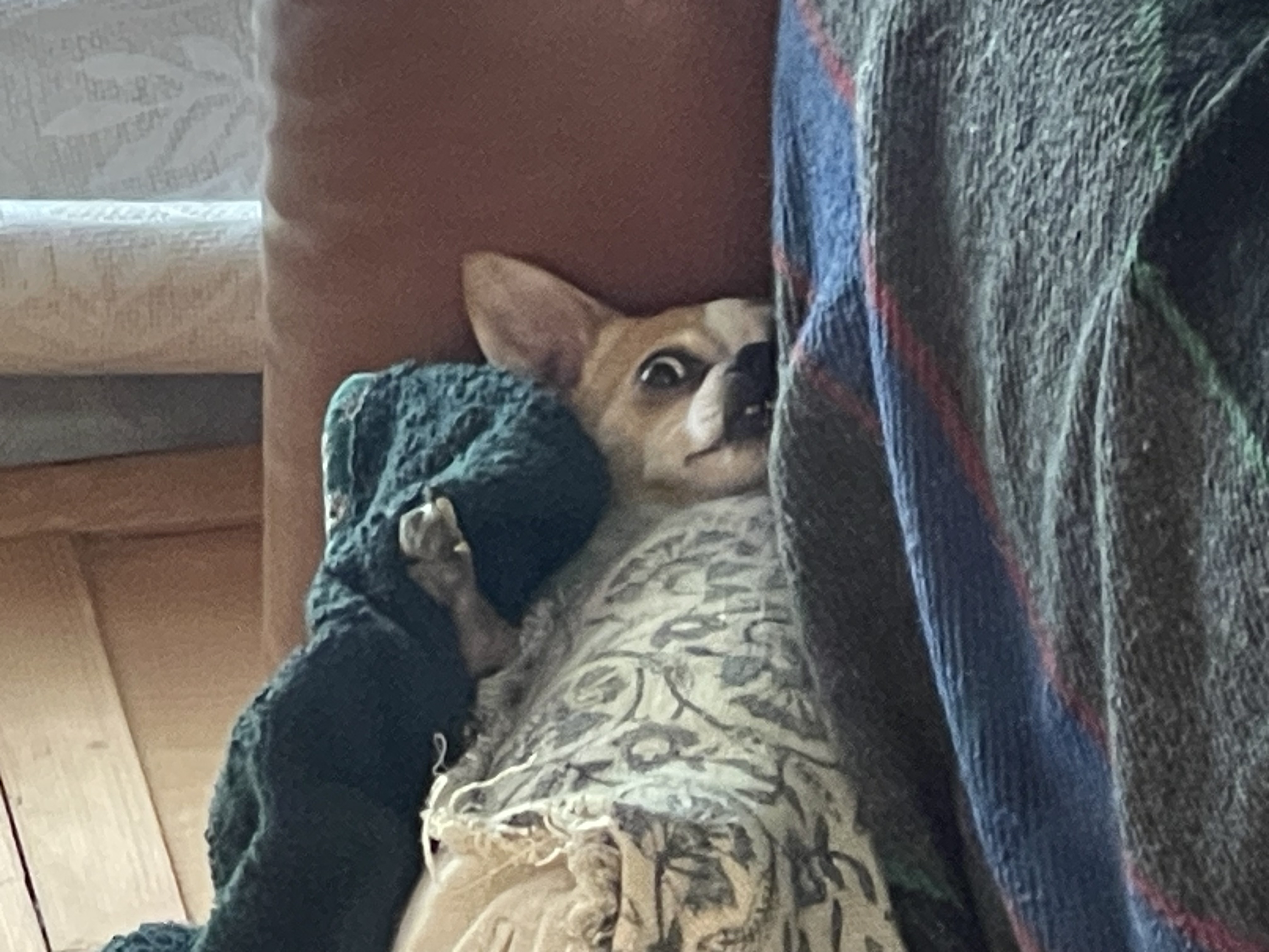Goblin